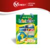 Yến Chưng Trẻ Em BibiNest Hương Tự Nhiên 15% Tổ Yến